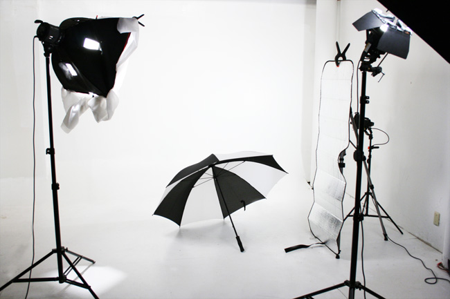 Model Services MN